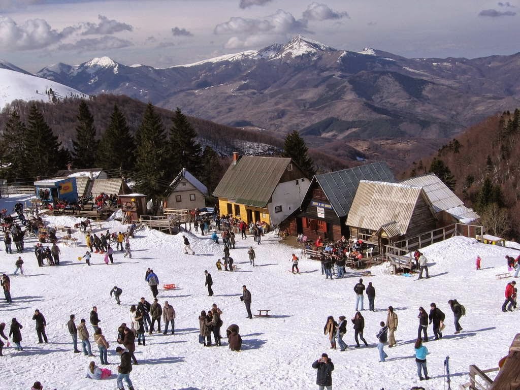 Brezovica